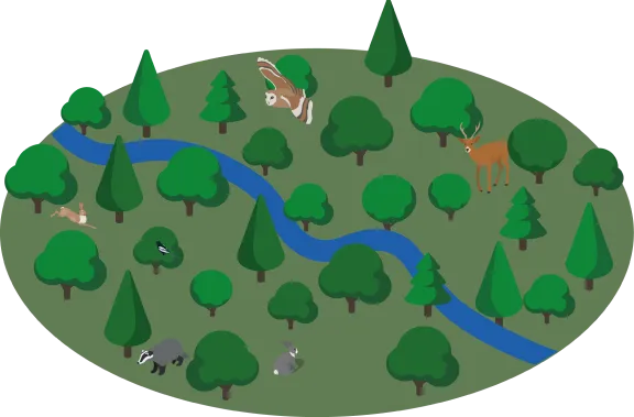 An area of native trees rich in wildlife