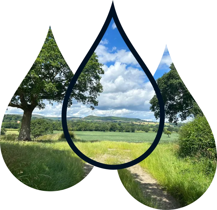 Natural untouched source of wenlock spring