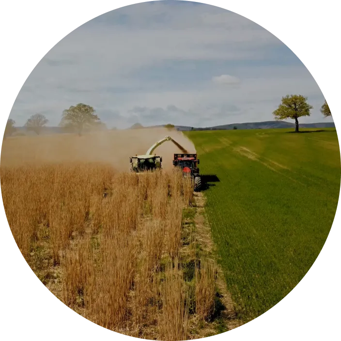 Fam land being sustainably managed