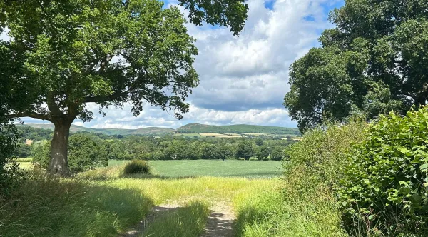 Picturesque view to wenlock edge