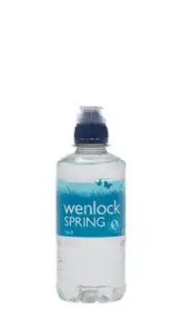 Natural still mineral water PET bottle 330ml with squeeze top