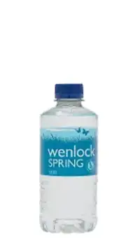 Natural still mineral water PET bottle 330ml flat cap
